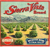 Sierra Vista Oranges