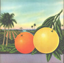 Florida Citrus Stock
