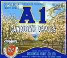 A1 Canadian Apples