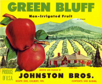 Green Bluff Apples