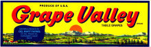 Grape Valley