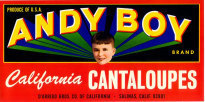 Andy Boy Cantaloupes