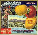 Appleton Apples