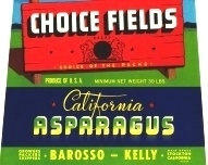 Choice Fields Asparagus