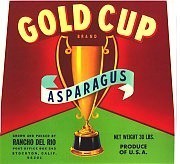 Gold Cup Asparagus