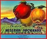 Hilltop Apples