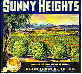 Sunny Heights Oranges
