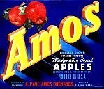 Amos Apples