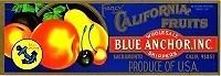 Blue Anchor Fruits Lug