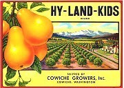 Hy-Land Kids Stock Pears