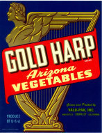 Gold Harp Blue