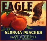 Eagle Peaches