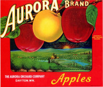 Aurora Apples Red
