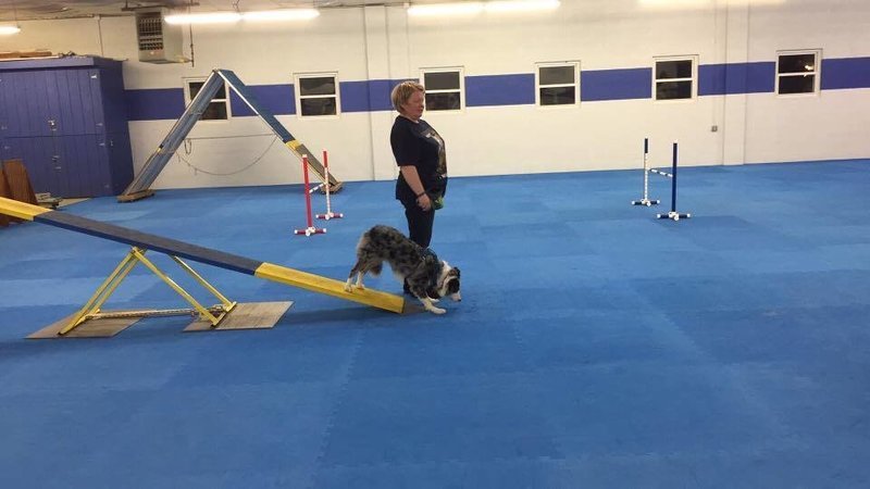 Agility