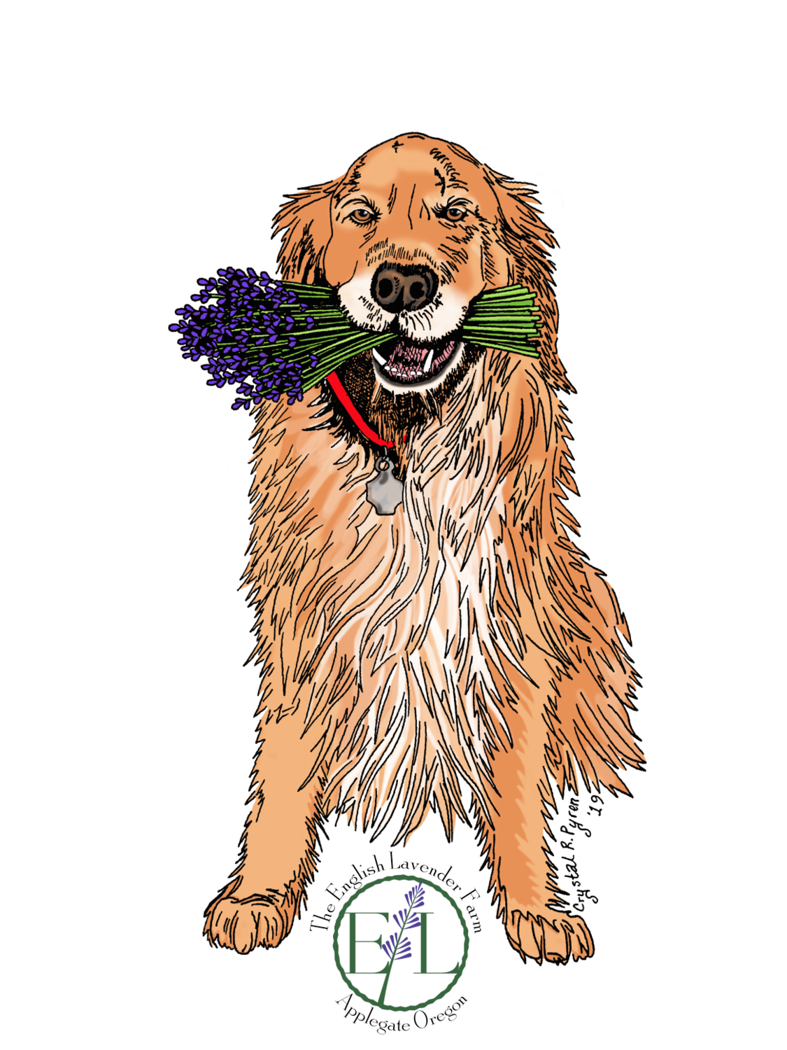 Cooper Sticker