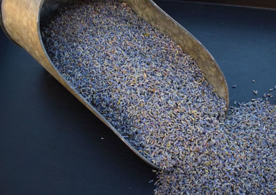 Dried Lavender Bud - 1lb