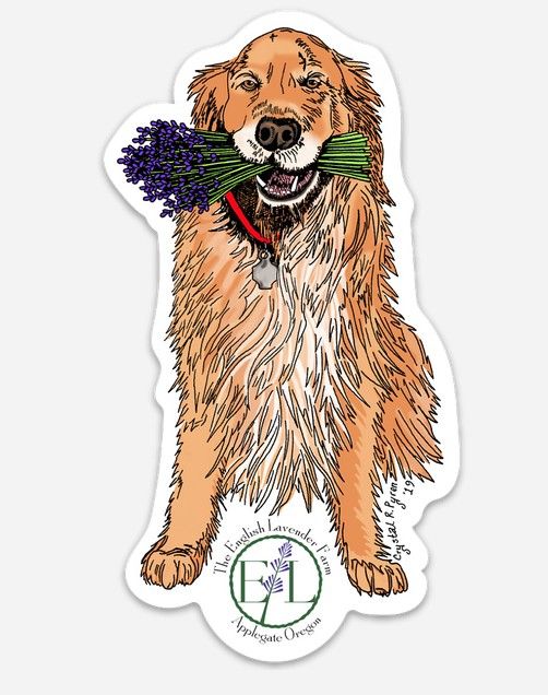 Cooper &amp; Tucker Stickers