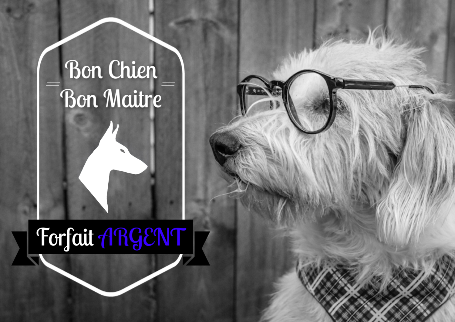 Bon chien, bon maitre - Forfait Argent