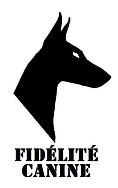 Boutique Fidélité