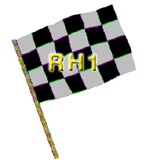 Checker Racing Hand Flags - Box of 100 9"x12" on 24" dowel Black & White Checks