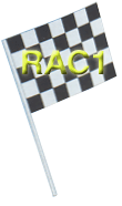Checker Racing Hand Flags - Box of 100 - 5 1/2"x7" on 12" plastic staff Black & White Checks