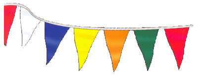 Top Economy Value Pennants 48 - 4 mil Pennants on 105' string