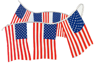 American Stars & Stripes Polyethylene 24 12"x18" flags on 60' string