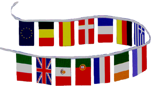 International Flags - 16 9"x12" flags on a 30' string