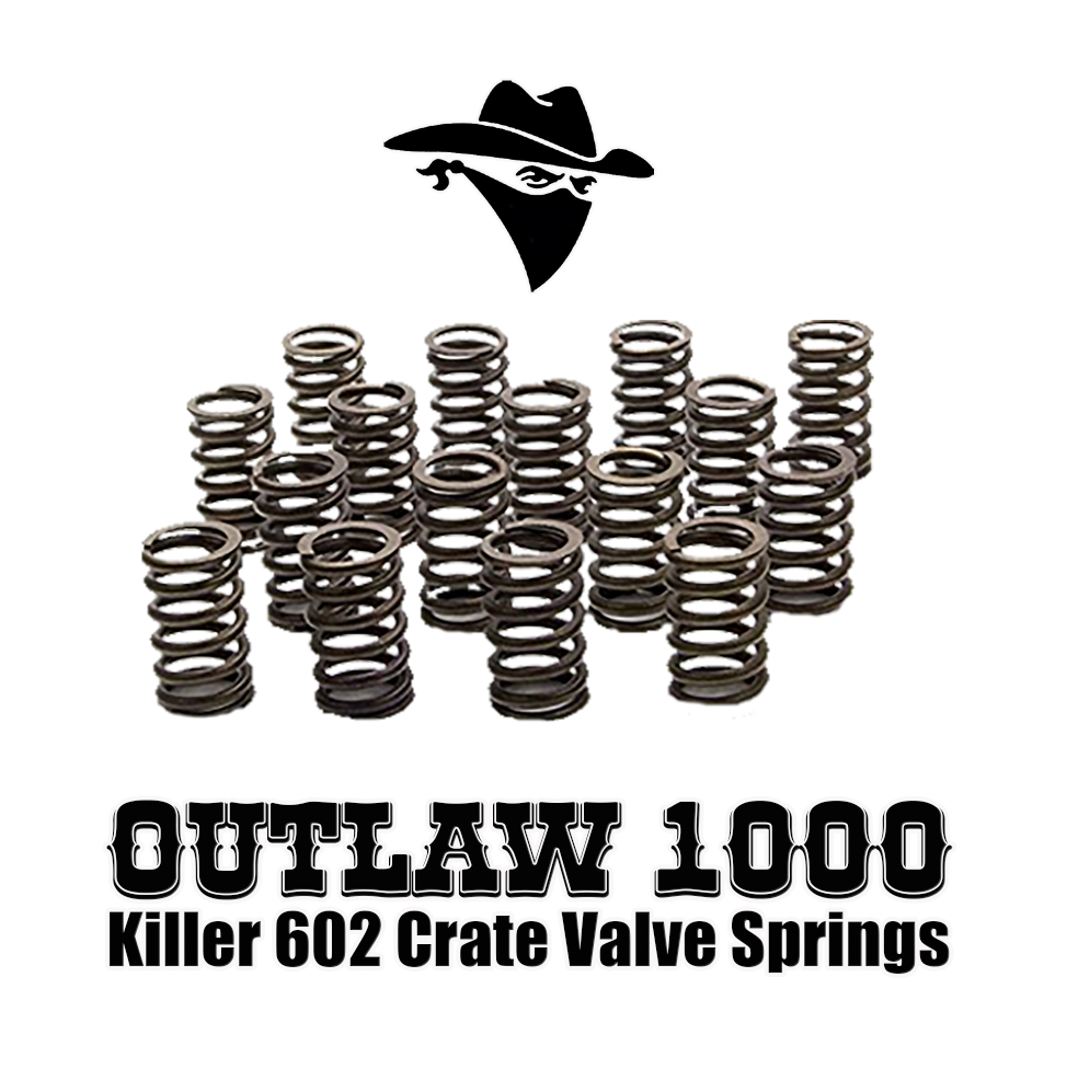 KillerCrate Outlaw 1000 Valve Springs. 1000 LAPS!