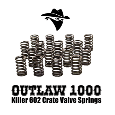 KillerCrate Outlaw 1000 Valve Springs. 1000 LAPS!