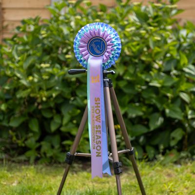 CLASS 3: SHOW SEASON
