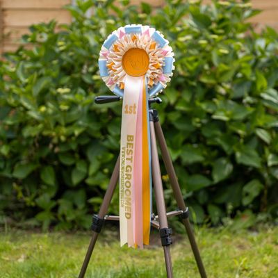 CLASS 5: BEST GROOMED