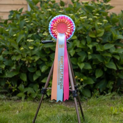CLASS 2: FANCY FLATWORK