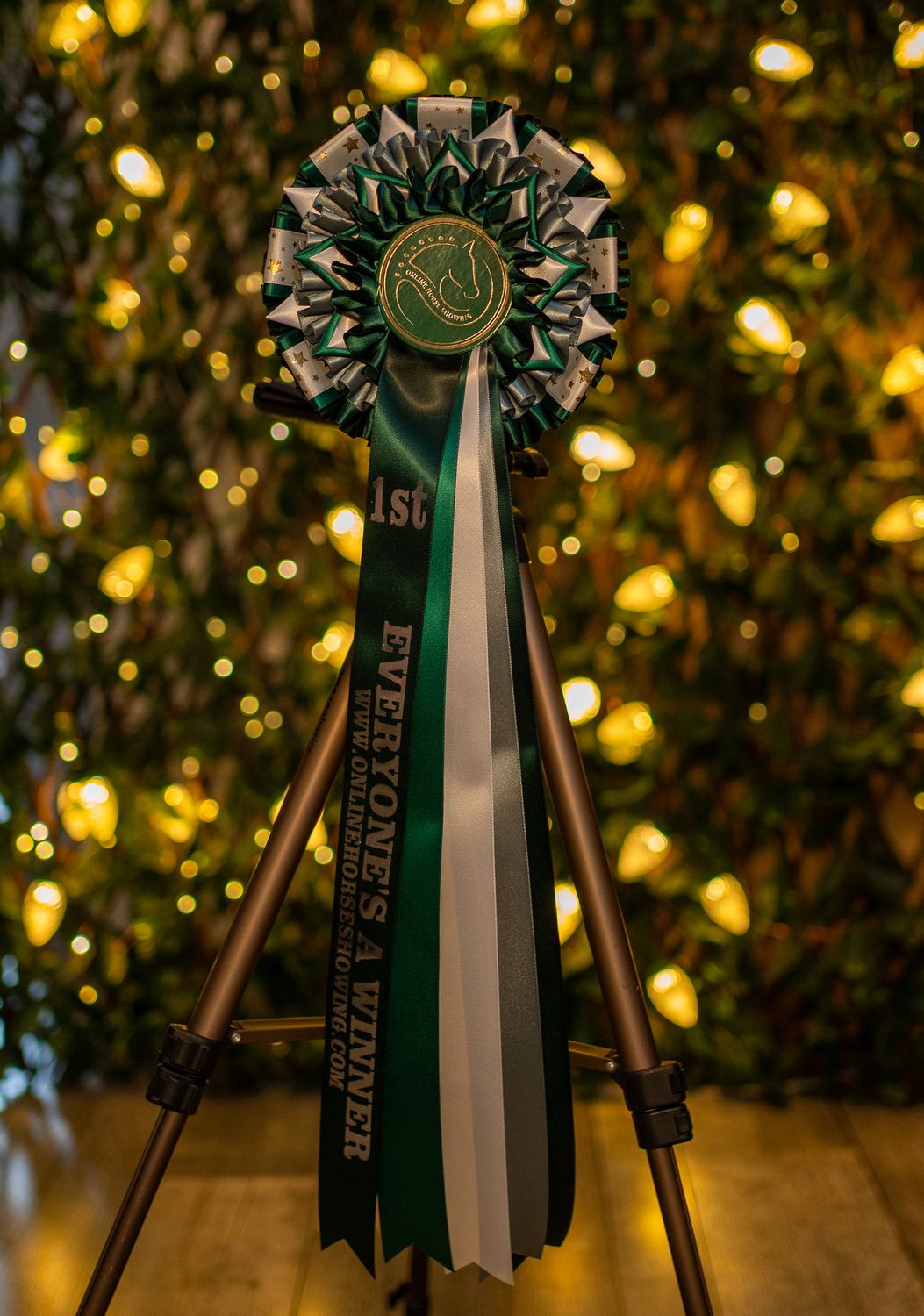 CLASS 19: EVERYONE'S A WINNER