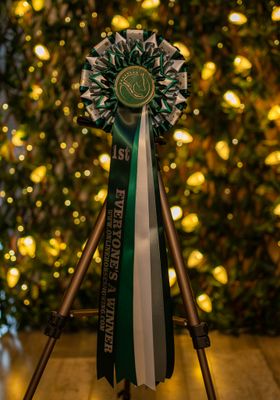 CLASS 19: EVERYONE'S A WINNER