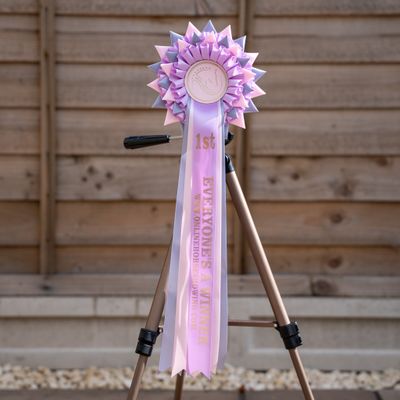 CLASS 17: EVERYONE'S A WINNER