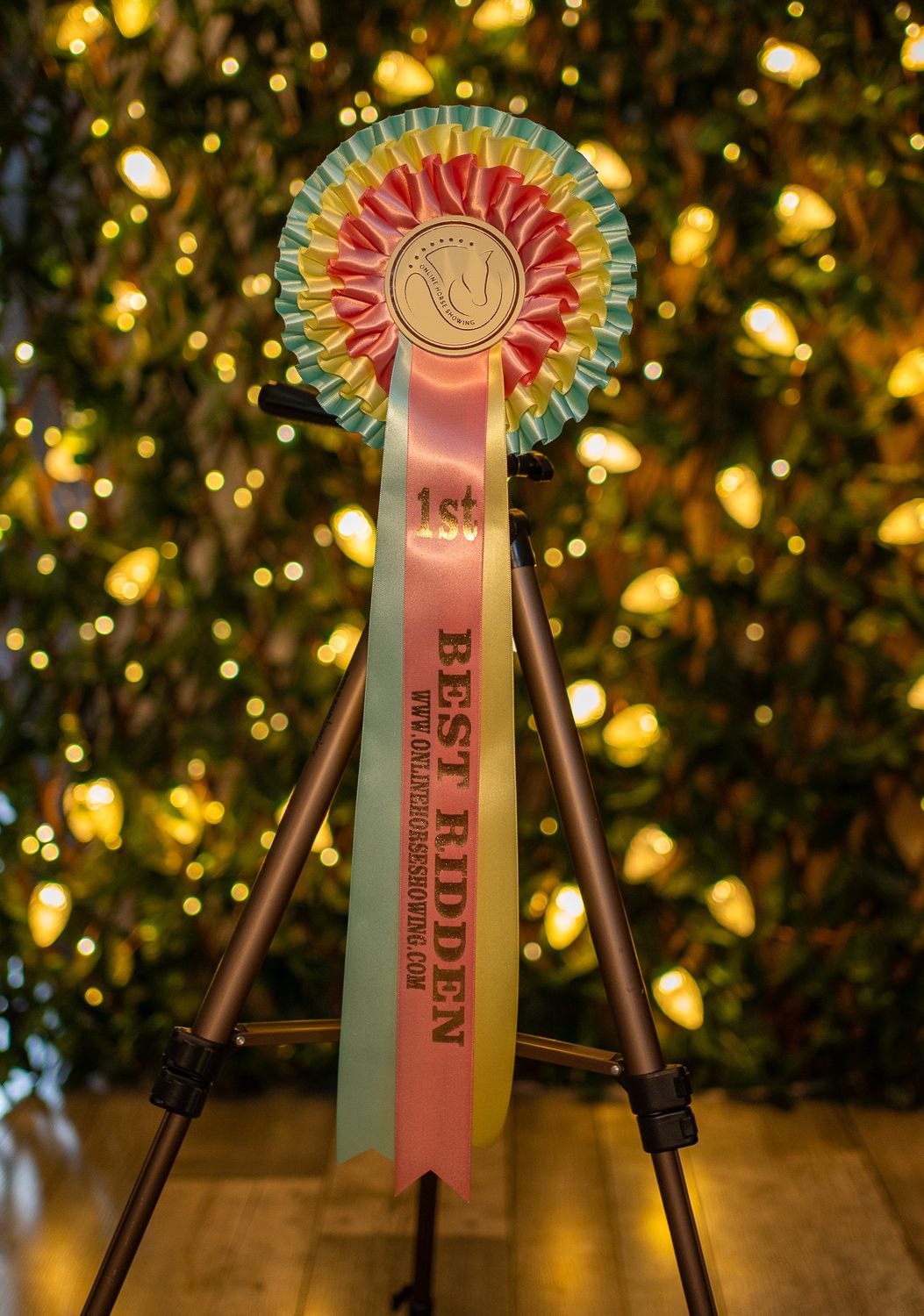 CLASS 1: BEST RIDDEN