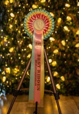 CLASS 1: BEST RIDDEN