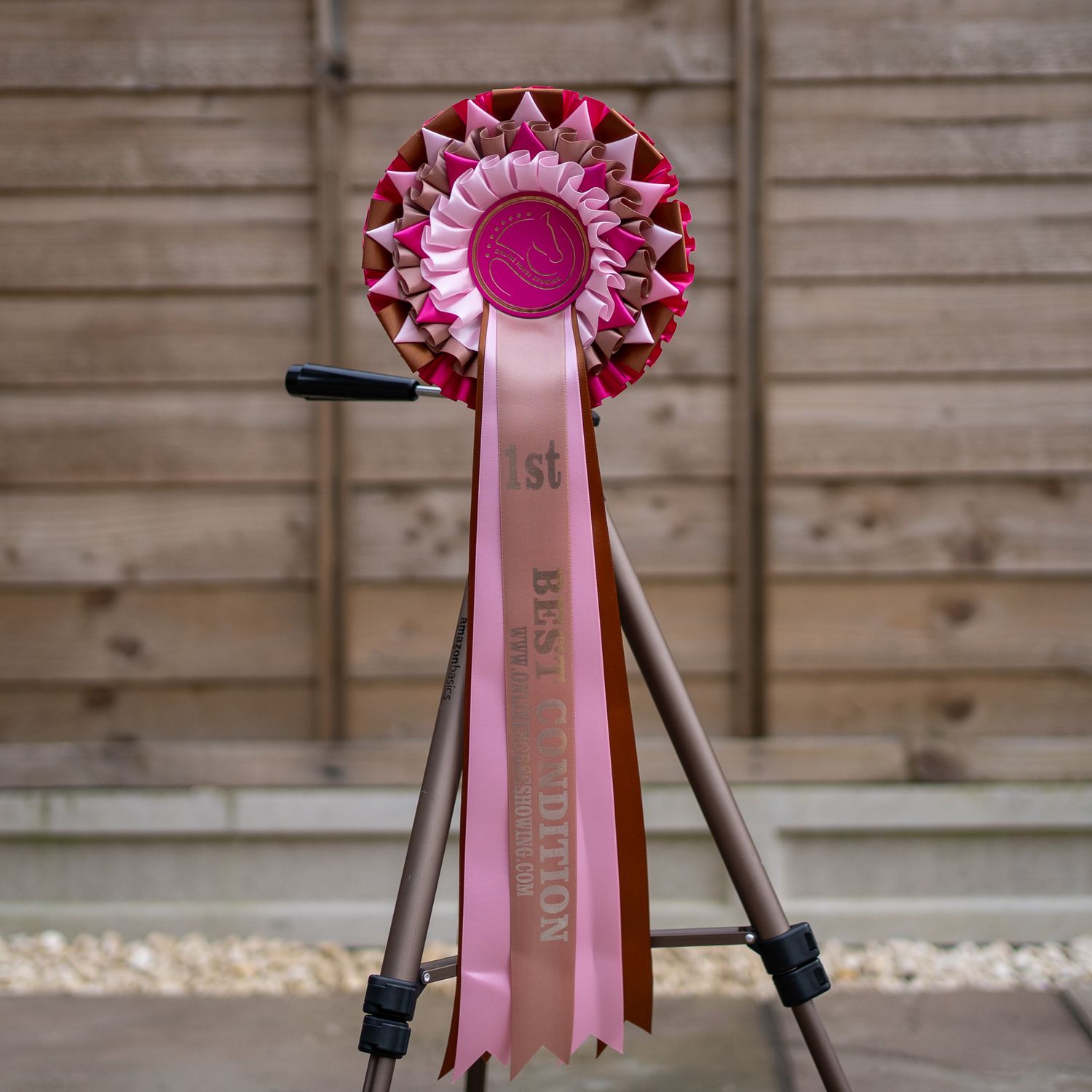 CLASS 1: BEST CONDITION