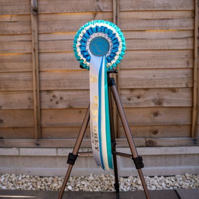 CLASS 1: BEST GREY