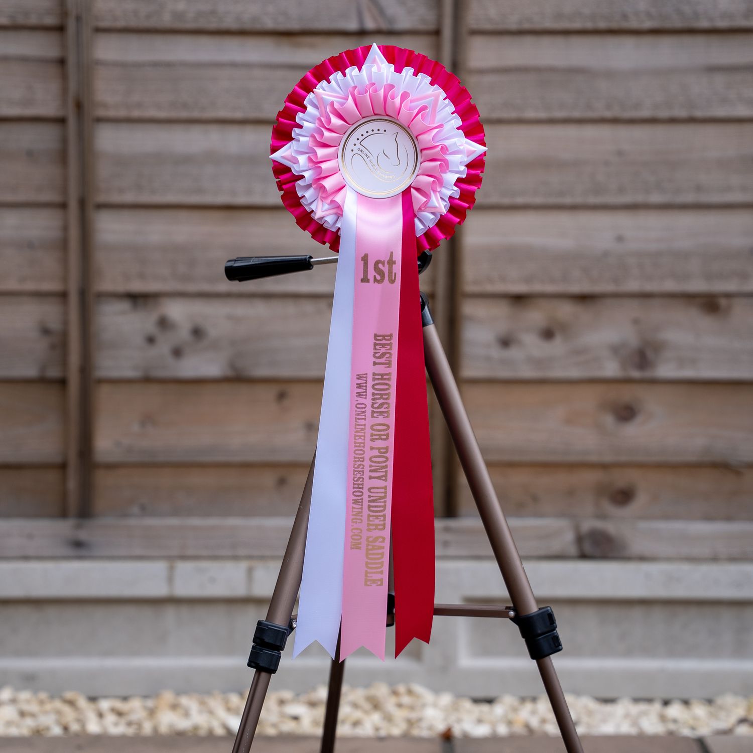 CLASS 1: BEST HORSE OR PONY UNDER SADDLE