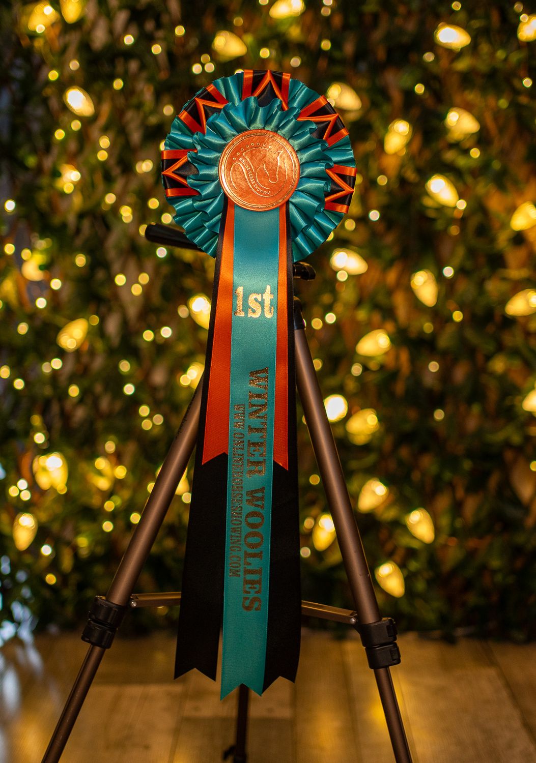 CLASS 11: WINTER WOOLIES