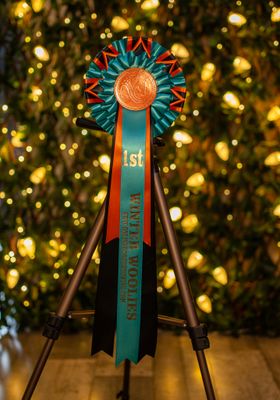 CLASS 11: WINTER WOOLIES