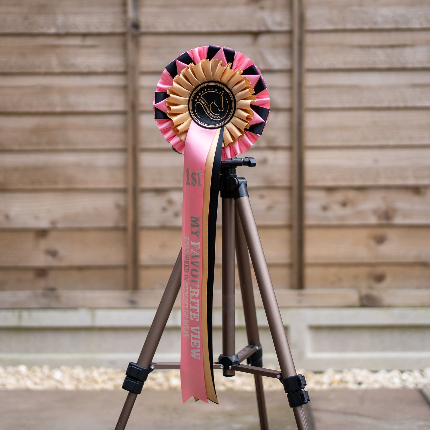 CLASS 11: MY FAVOURITE VIEW