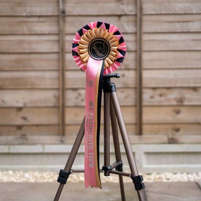 CLASS 11: MY FAVOURITE VIEW