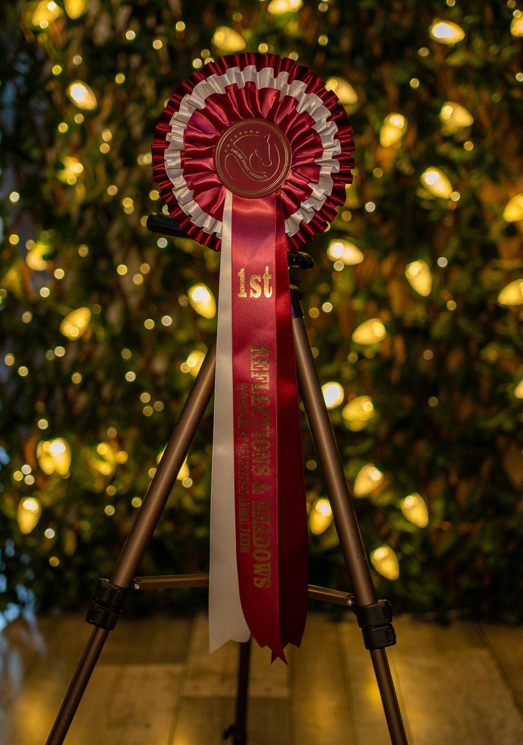 CLASS 13: REFLECTIONS &amp; SHADOWS