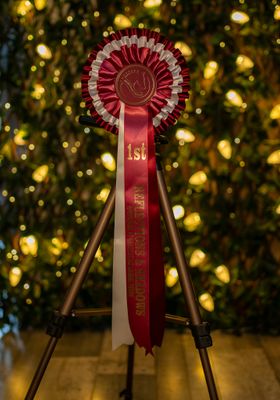 CLASS 13: REFLECTIONS &amp; SHADOWS