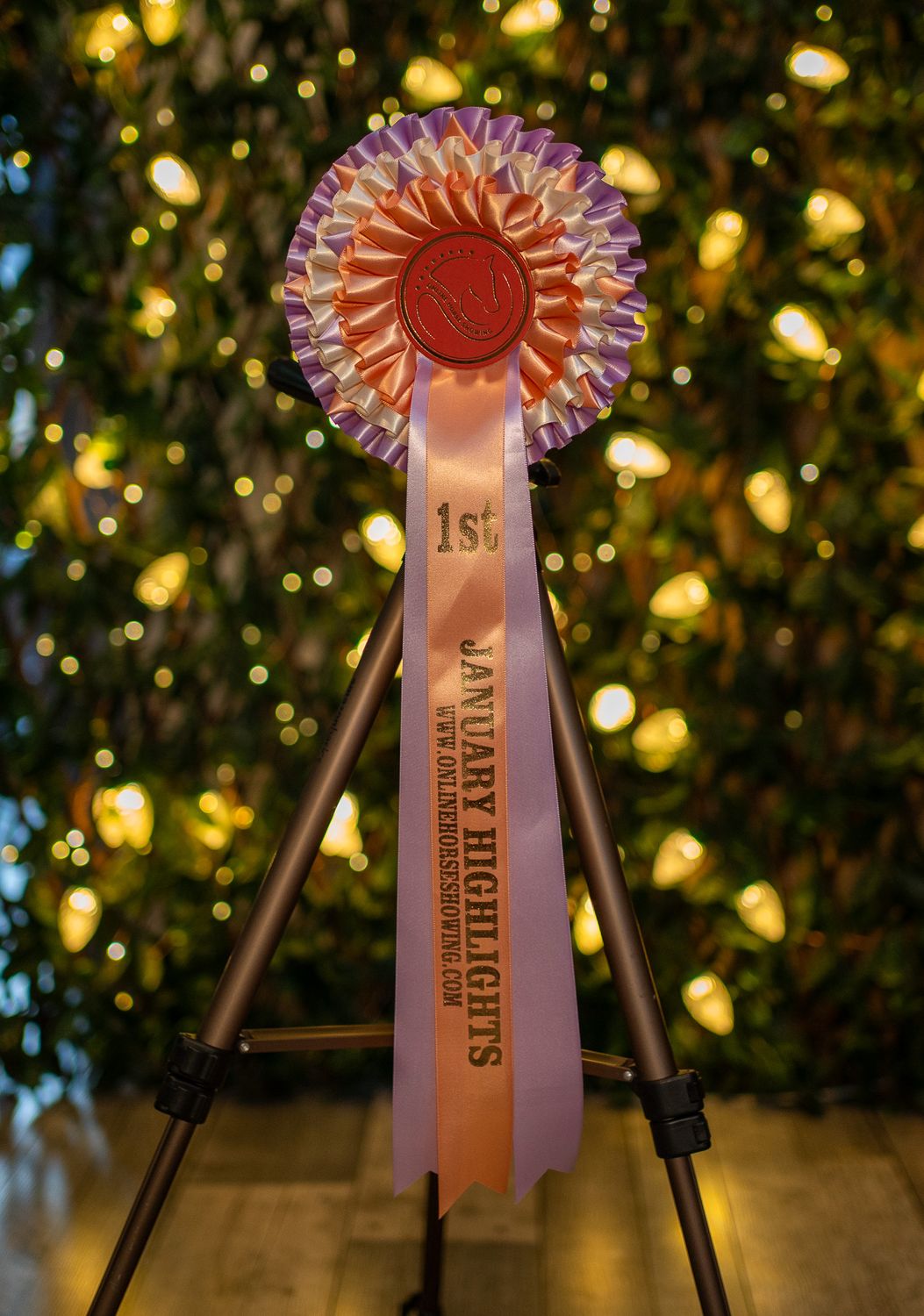 CLASS 14: JANUARY HIGHLIGHTS