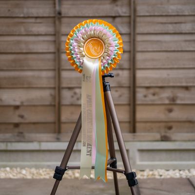 CLASS 15: APRIL CALENDAR MOMENT