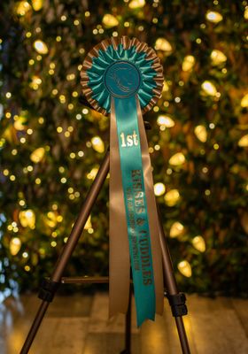 CLASS 17: KISSES &amp; CUDDLES